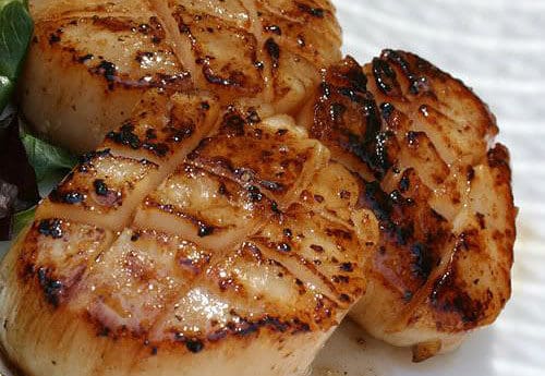 Scallops Smoked on a Natural Wood Plank