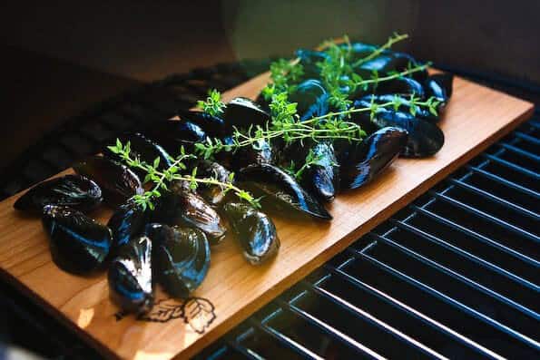 Mussles on a grilling plank